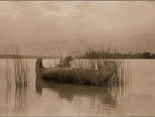 Edward Curtis "The Rush Gatherer" Photo Lithograph Print